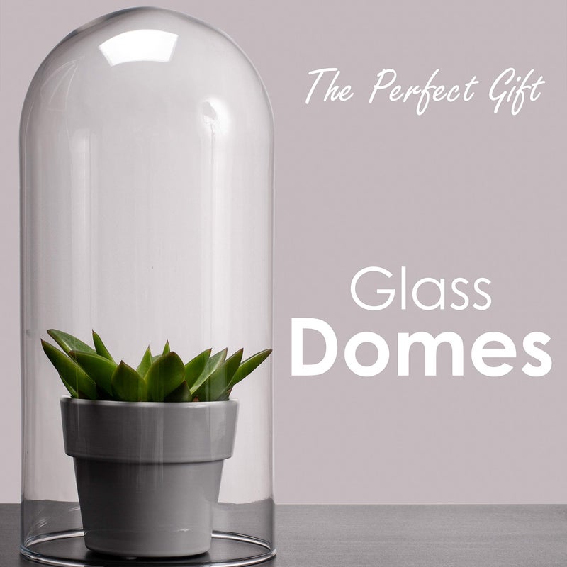 CYS EXCEL Glass Dome Cloche (H:13.75" D:5.75") | Multiple Sizes Decorative Showcase Display for Antique Collectibles | Bell Jar Terrarium & Dessert Cover - Image 3